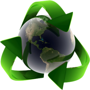 Environmental Sustainability